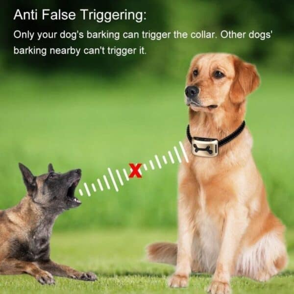 dog no bark vibrate collar 3 1