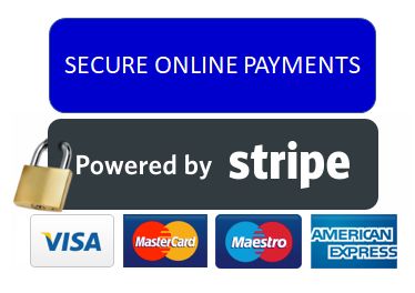 stripe payment gateway icon